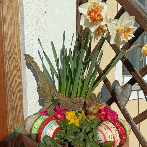 Frühlingsblumen Frühlingsblumen