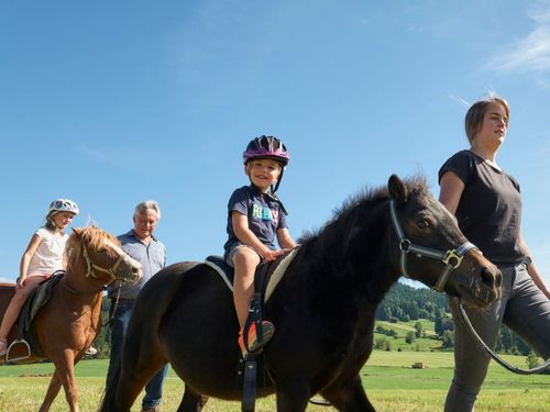 Ponyausflug Ponyausflug
