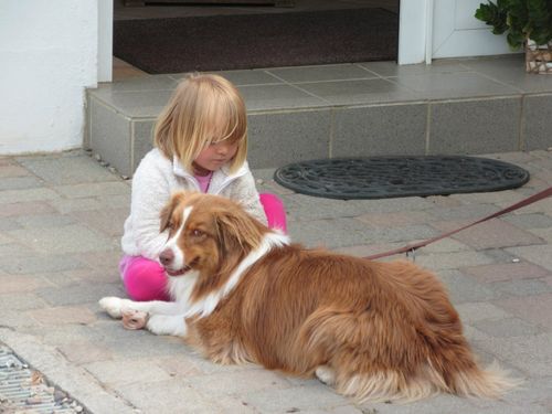 Leni_Laika_IMG_7115 Leni_Laika_IMG_7115