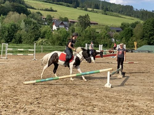 Auf dem Reitplatz