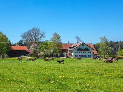 Unser Bauernhof