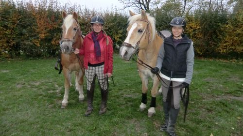 geführtes Ponyreiten geführtes Ponyreiten