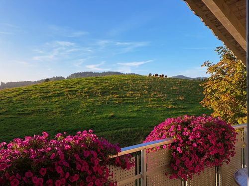 ausblick vom balkon