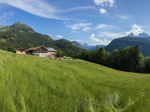 Koppensteinlehen m. Jenner u. Watzmann Koppensteinlehen m. Jenner u. Watzmann