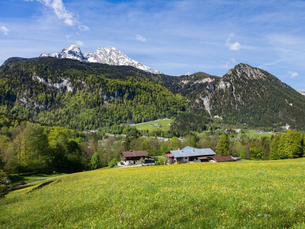 Koppensteinlehen m. Watzmann u. Grünstein Koppensteinlehen m. Watzmann u. Grünstein