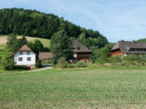 Schöne Einzellage