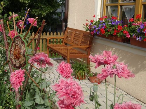 Garten vorm Haus Garten vorm Haus