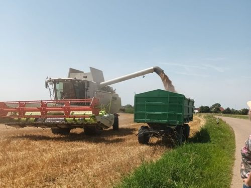 Landwirtschaft erleben Landwirtschaft erleben