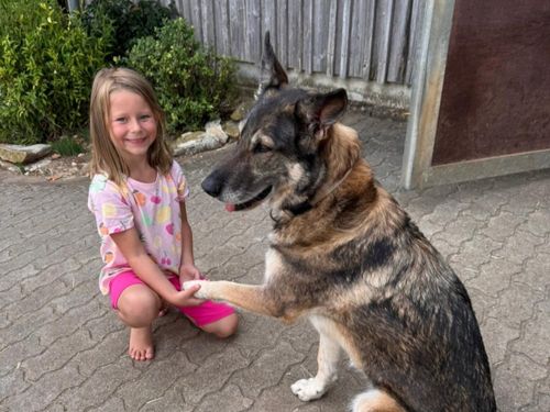 Unsere Laika Unsere Laika