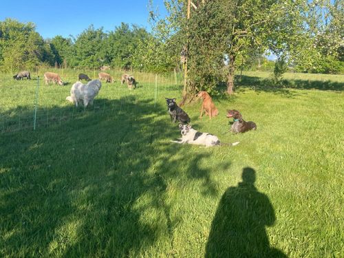 Unsere Tiere