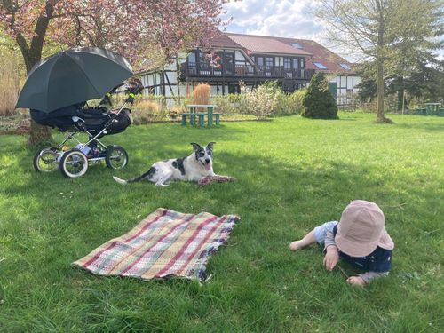 Spiel- und Picknickwiese