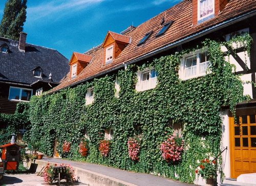 Innenhof Innenhof