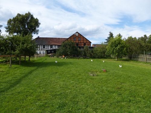 Haus- Rückseite Haus- Rückseite