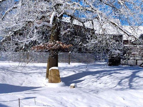 Winter 2020 Winter 2020