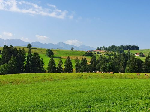 landschaft landschaft