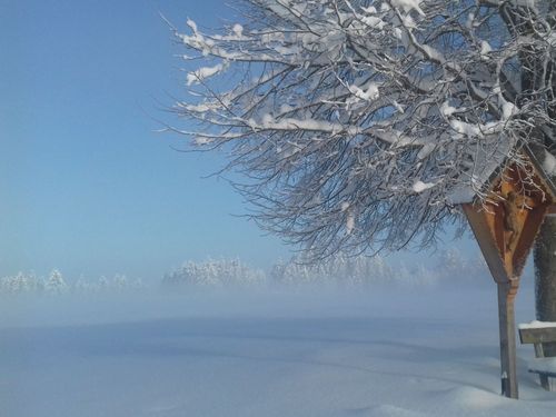 Wintertraum Wintertraum