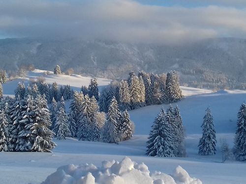 Wintertraum Wintertraum