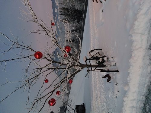 20221218_165954-kopie 20221218_165954-kopie