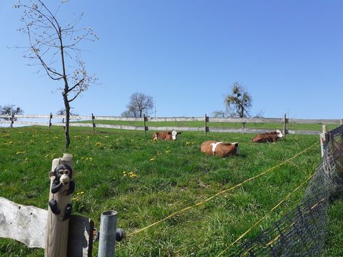 Unser Vieh auf der Weide Unser Vieh auf der Weide