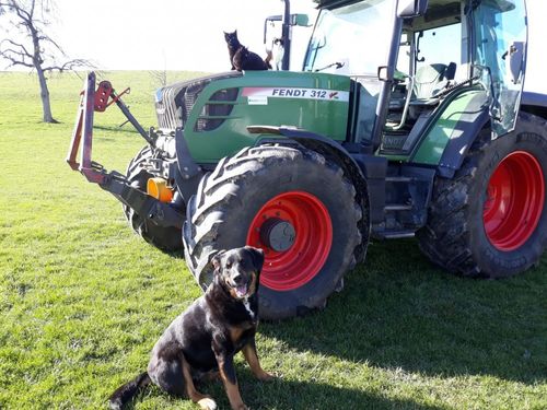 Unser Hofhund und unser FENDT Unser Hofhund und unser FENDT