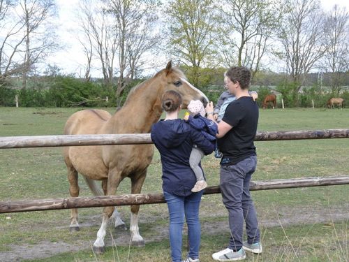 Familie mit Pferd