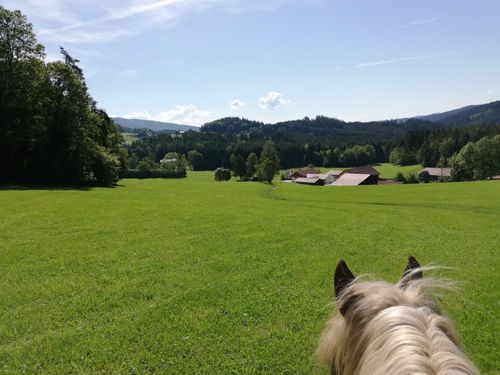 Blick von oben auf die Schmalzgrub