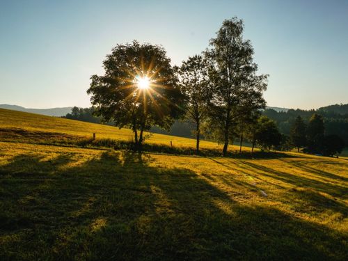 Sonnenstrahlen