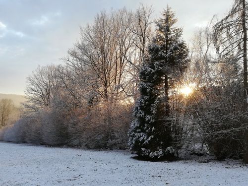 Winter