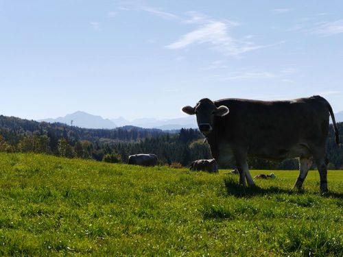 biolandwirtschaft biolandwirtschaft
