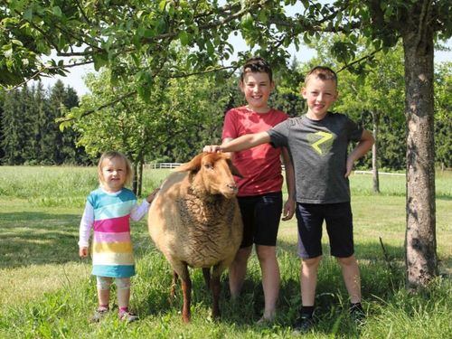 Allgäu Bergferienhof Rösch Allgäu Bergferienhof Rösch