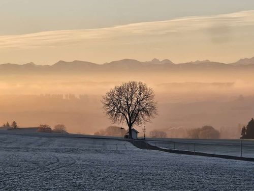 Winterstimmung im Dezember Winterstimmung im Dezember