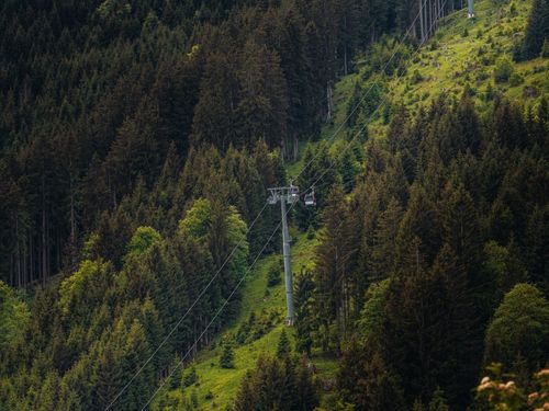 Im grünen Im grünen