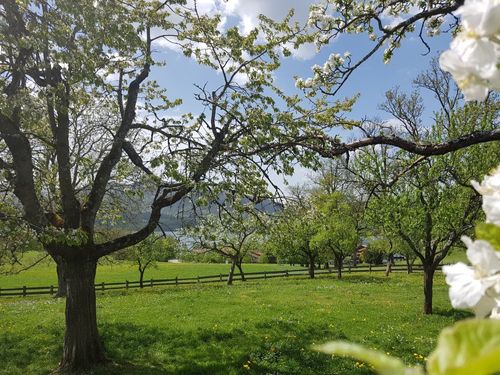 Gartenblick Gartenblick