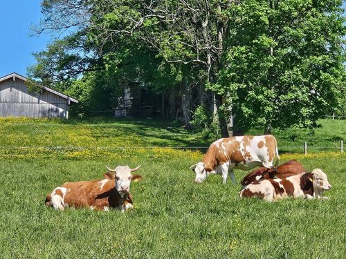 Entspannt im Sommer Entspannt im Sommer