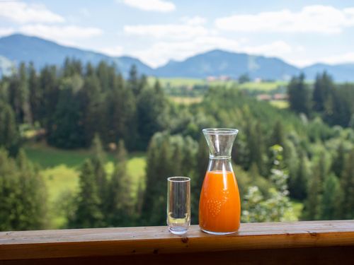 Weitblick_Ferienwohnung-Alpennest_1924_K69152__Tanner-Werbung Weitblick_Ferienwohnung-Alpennest_1924_K69152__Tanner-Werbung