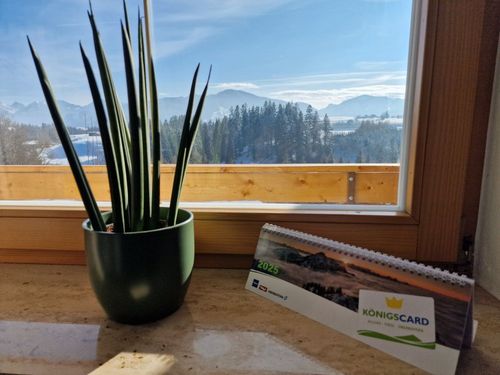 Blick durchs Fenster Blick durchs Fenster