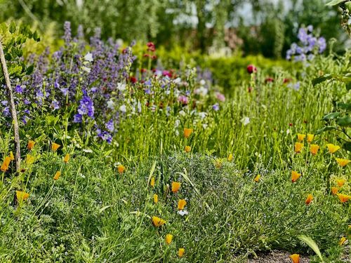 Garten im KulturGut Ulrichshalben Garten im KulturGut Ulrichshalben