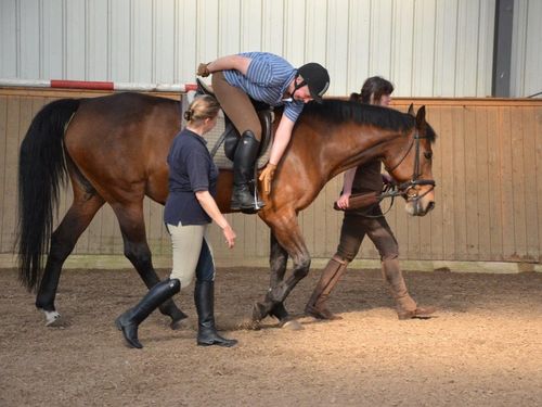Reiten Reiten