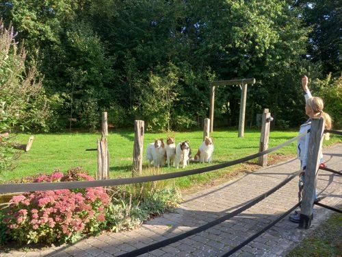 peerhus_doensel_hunde-willkommen peerhus_doensel_hunde-willkommen