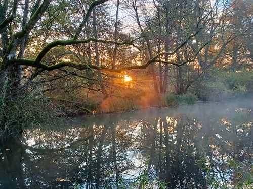 Mühlenteich Mühlenteich