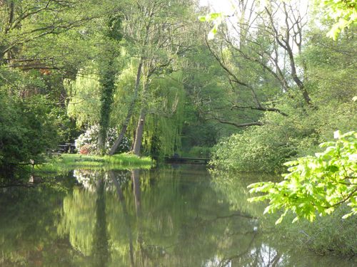 Mühlenteich_Frühling Mühlenteich_Frühling