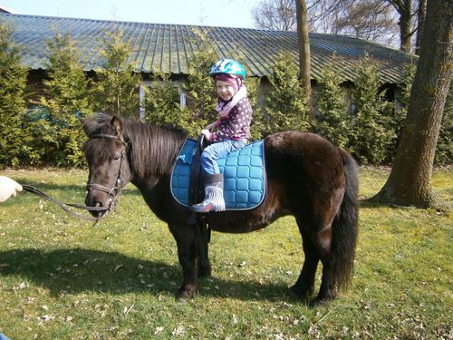 ferienhof niemann ponyreiten ferienhof niemann ponyreiten