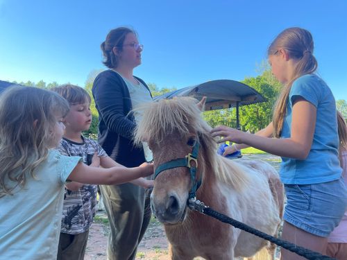 kuhle_auszeit_kinder streicheln ponys kuhle_auszeit_kinder streicheln ponys