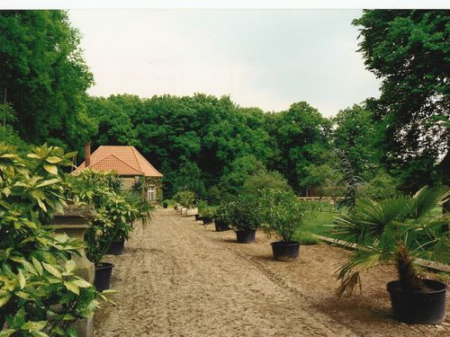 Park - Orangerie