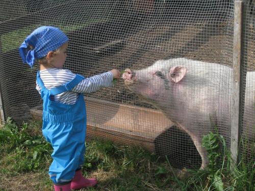 Anna mit Schwein Guschtl