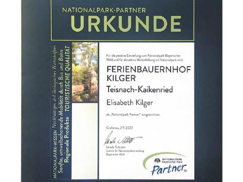 NPP Urkunde