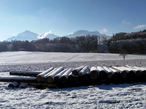 Wintertraum