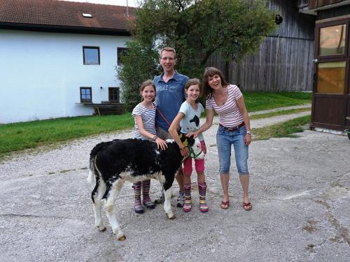 spazieren gehen - mal anders