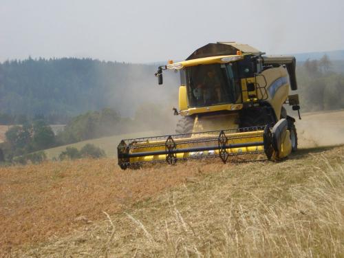 landwirtschaft