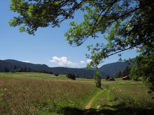 Umgebung